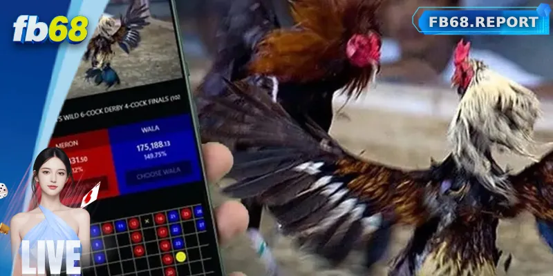 Cách tham gia đá gà FB68