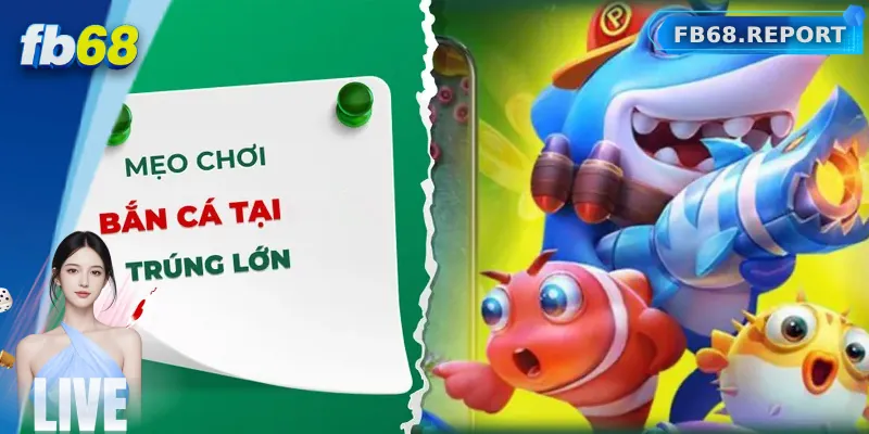 Mẹo chơi bắn cá hiệu quả