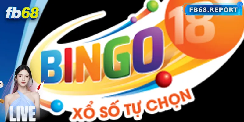 Xổ Số Bingo Và Xổ Số Truyền Thống – Chơi Cái Nào Lời Hơn?